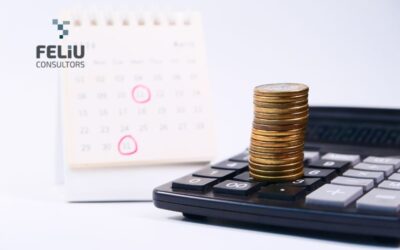 INGRESO MÍNIMO VITAL (IMV)