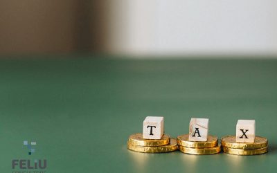 PLA ANUAL DE CONTROL TRIBUTARI I DUANER DE 2022