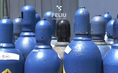 REGLAMENTO DEL IMPUESTO SOBRE LOS GASES FLUORADOS
