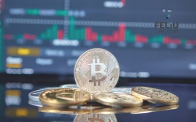 DECLARACIÓ INFORMATIVA SOBRE MONEDES VIRTUALS SITUADES A L’ESTRANGER