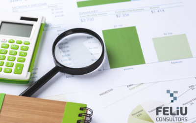 MODEL 232 DECLARACIÓ INFORMATIVA D’OPERACIONS VINCULADES I SITUACIONS RELACIONADES AMB PAÏSOS O TERRITORIS QUALIFICATS DE PARADISOS FISCALS