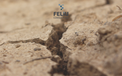 MESURES FISCALS PER A PAL·LIAR ELS DANYS PROVOCATS PER LA SEQUERA