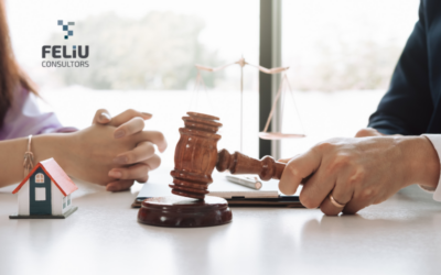 DECRET LLEI 6/2024, DE 24 D’ABRIL, DE MESURES URGENTS EN MATÈRIA D’HABITATGE