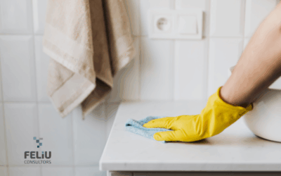 NOVES OBLIGACIONS PER ALS OCUPADORS DELS TREBALLADORS DE LA LLAR