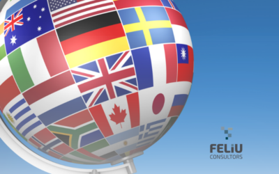 DUE DILIGENCE DE FILIALS